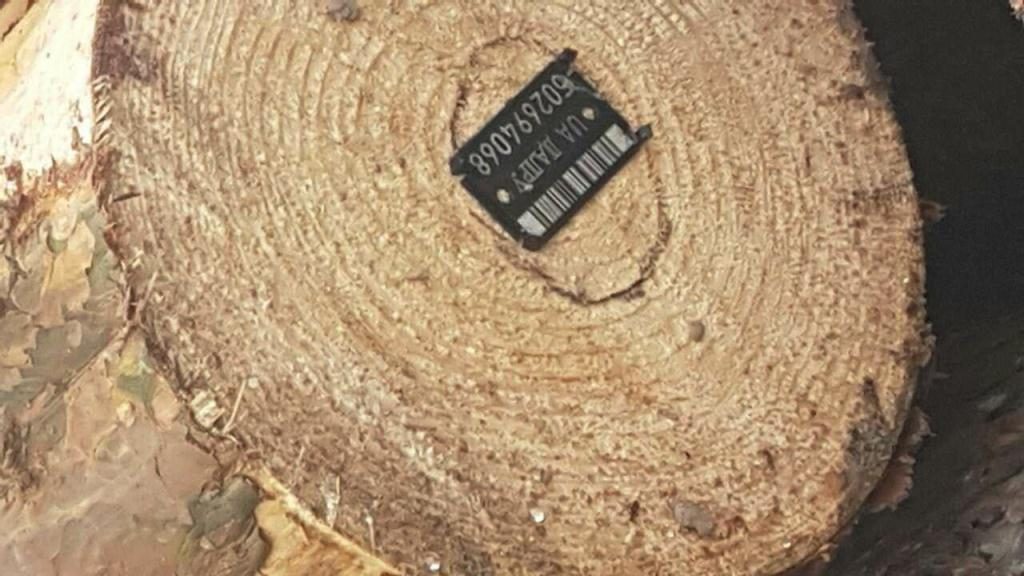 деревина на Прикарпатті