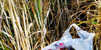 В передмісті Івано-Франківська виявили покинутий пакет із гранатами та іншими боєприпасами