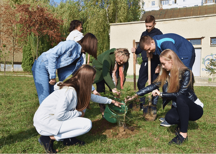 Одинадцятикласники висадили молоді дерева на алею біля школи №25 (фоторепортаж)
