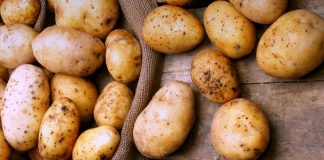В Україні почала дешевшати картопля