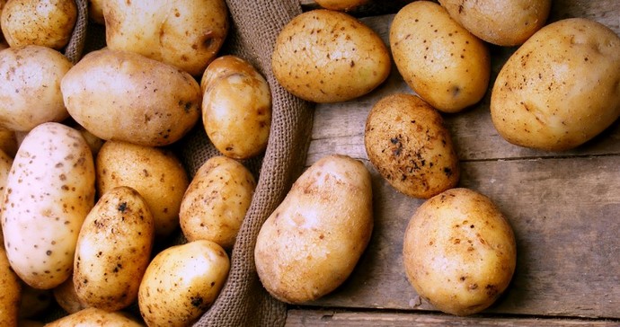 В Україні почала дешевшати картопля