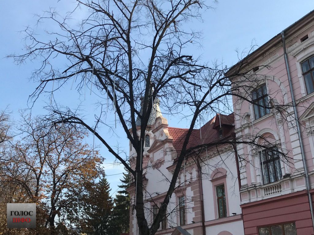 новорічні свята