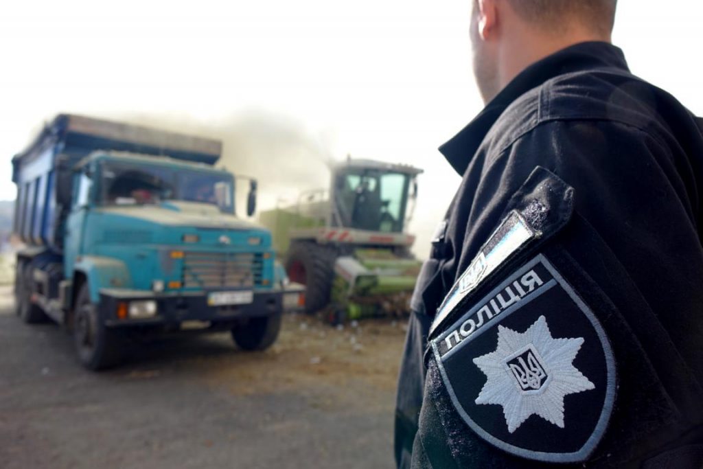 Правоохоронці знищили рекордну кількість коноплі, яку виявили на Косівщині