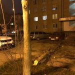 Через сильний вітер у Франківську на Коновальця впало дерево