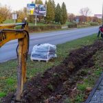 Івано-Франківськ: на Набережній висадили живопліт з бірючини