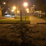 Через сильний вітер у Франківську на Коновальця впало дерево