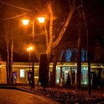 Краса вечірнього парку восени: у мережі з'явились неймовірні світлини Івано-Франківська