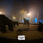 Слони в тумані. У мережі з'явились неймовірні світлини осіннього парку Іван-Франківська