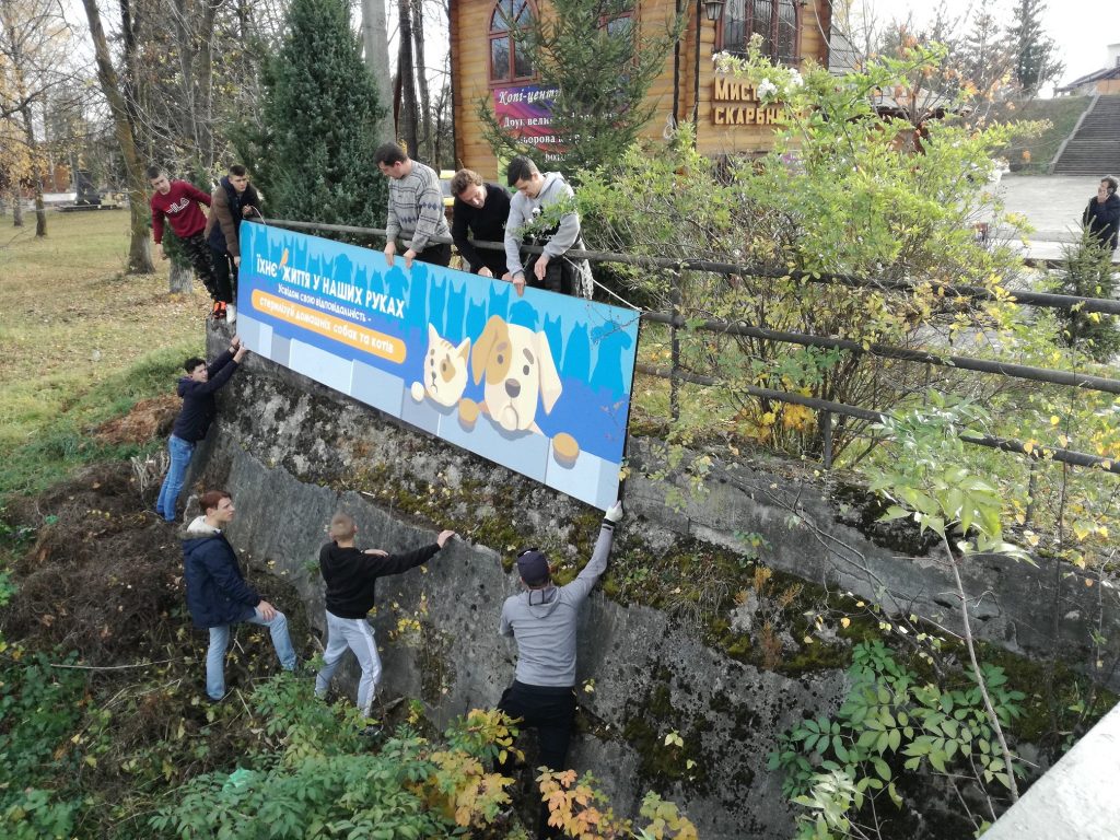 косів