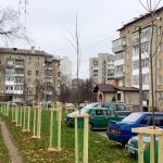 Цьогоріч у Франківську висадили кілька сотень дерев та кущів