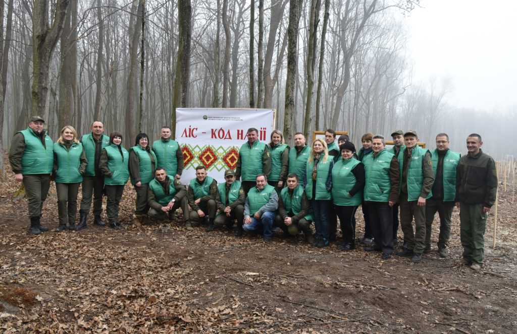 висадка дерев