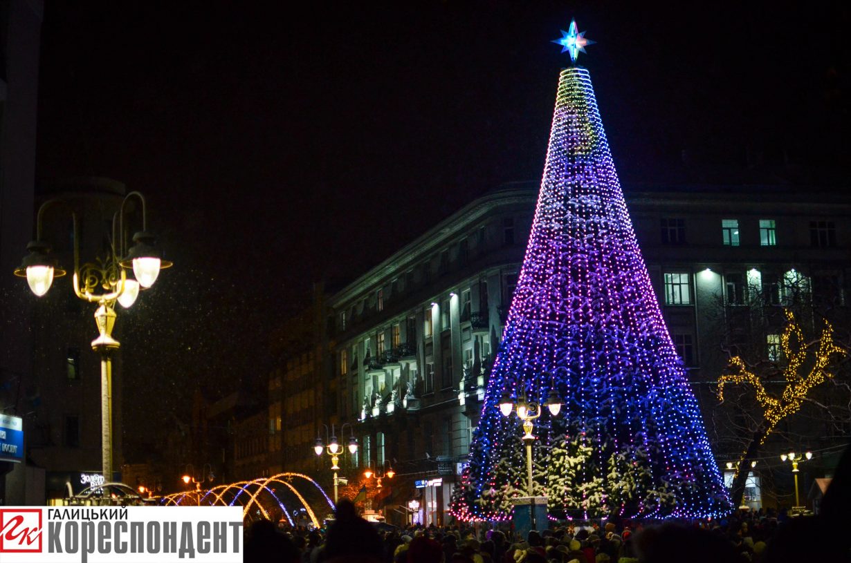 ялинка Івано-Франківськ