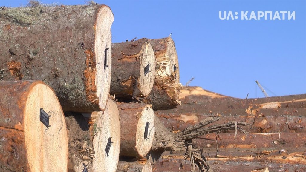 чіпована деревина