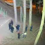 У міському парку Франківська п'яні підлітки підпалили зуб динозавтра