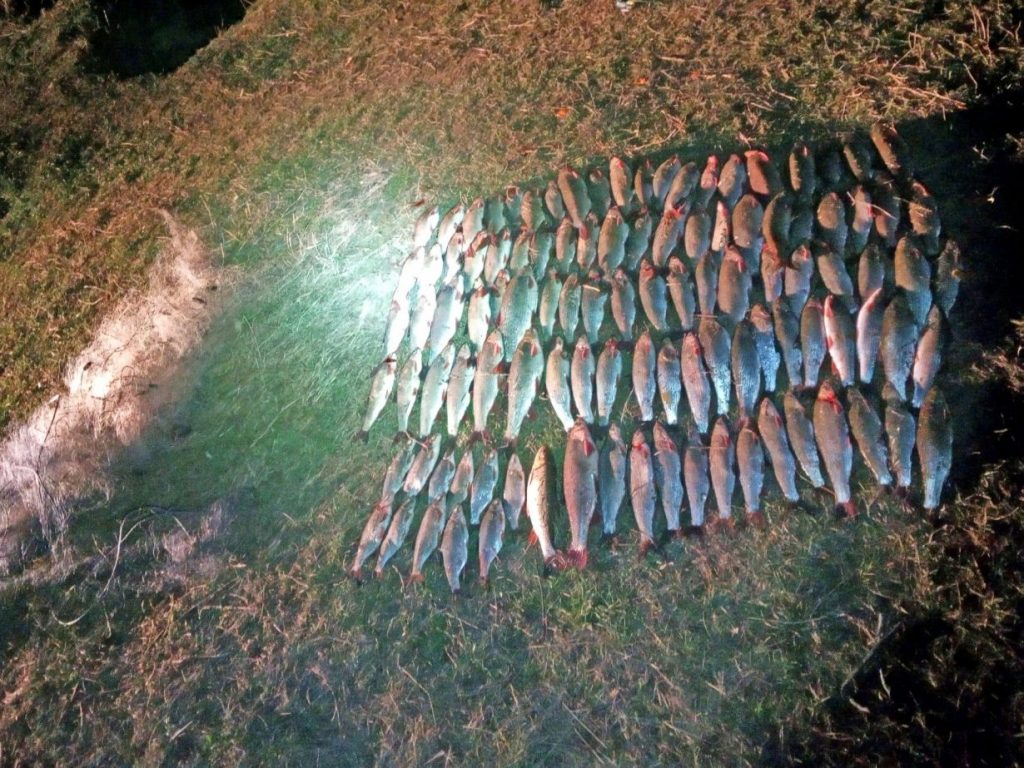 рибпатруль