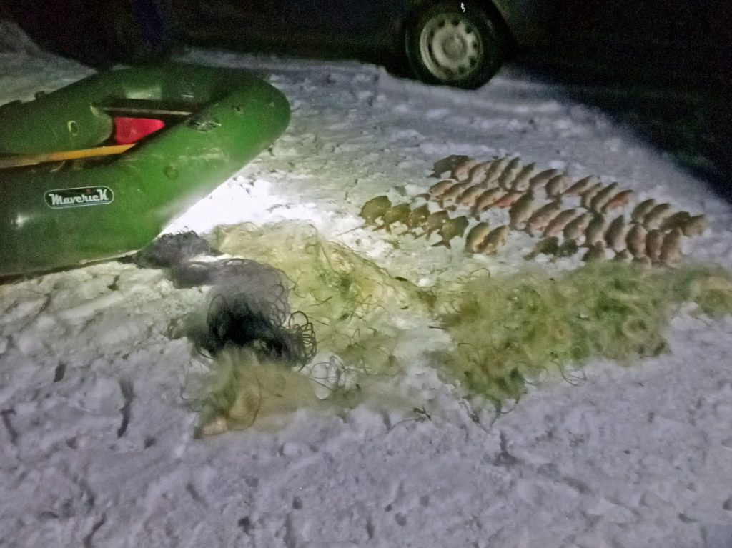 прикарпаття браконьєри