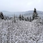 Північно-західну частину Прикарпаття рясно вкрило снігом: фоторепортаж