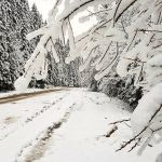 Північно-західну частину Прикарпаття рясно вкрило снігом: фоторепортаж