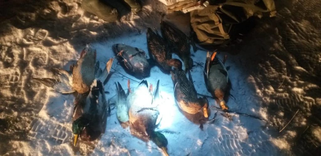 браконьєри Прикарпаття