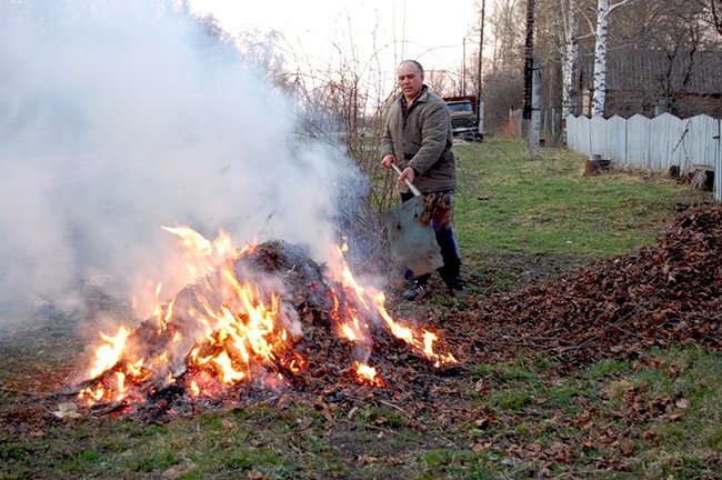 спалювання сухої трави