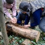 На Прикарпатті діти із лісниками підгодовують диких тварин: фото