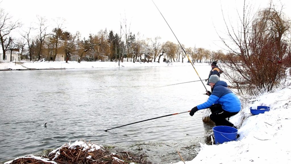 браконьєри