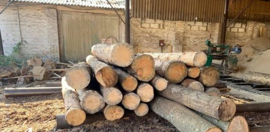 вирубка лісу