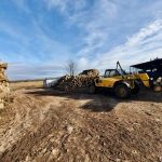 Поліцейські розслідують справу щодо незаконної вирубки лісу на Прикарпатті