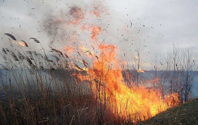 На Прикарпатті й надалі продовжують масово підпалювати суху траву