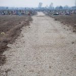 Івано-Франківськ докупив ще 2 гектари землі для міського кладовища