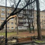 Вчорашня негода наробила шкоди у центральному парку Івано-Франківська: фоторепортаж