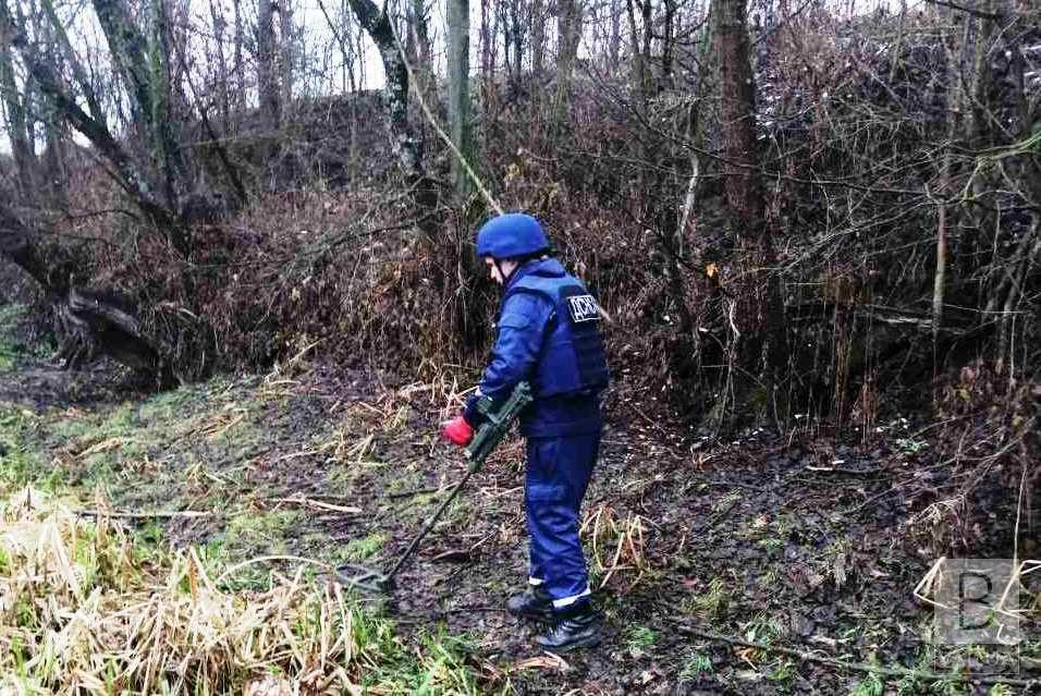 У лісі на Прикарпатті знайшли та знешкодили майже півсотні вибухонебезпечних предметів