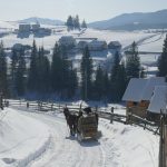 Чудова зима на Прикарпатті - відомий фотограф показав казкову зиму у Ворохті: фоторепортаж