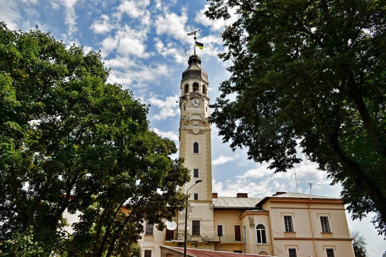 Снятинську ратушу захистять від птахів