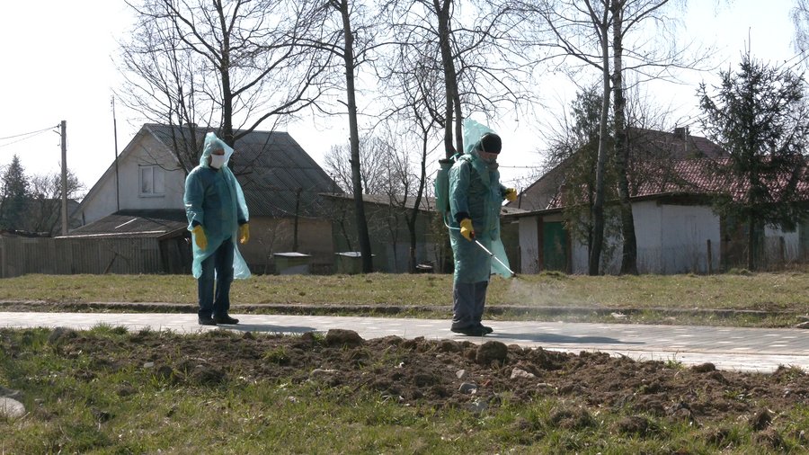 В одному із сіл Прикарпаття 36 заробітчан перебувають на самоізоляції: відео