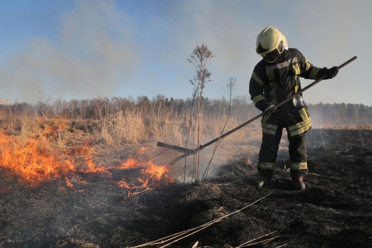 З початку року на Прикарпатті виникло більше трьох сотень пожеж: відео