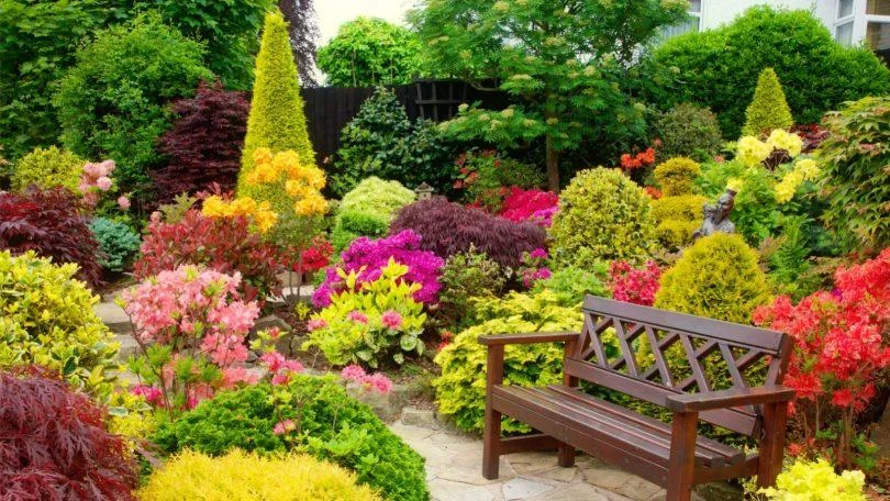 Декоративные растения это отличный способ украсить свой сад