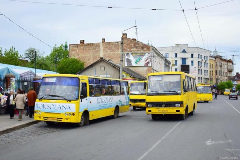 Франківський депутат закликає зупинити громадський транспорт