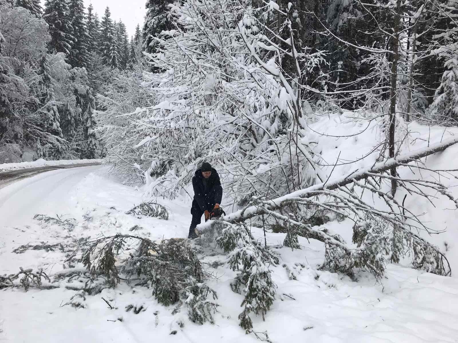 Сильний снігопад повалив дерева і повністю перекрив сполучення між Ворохтою та Верховиною