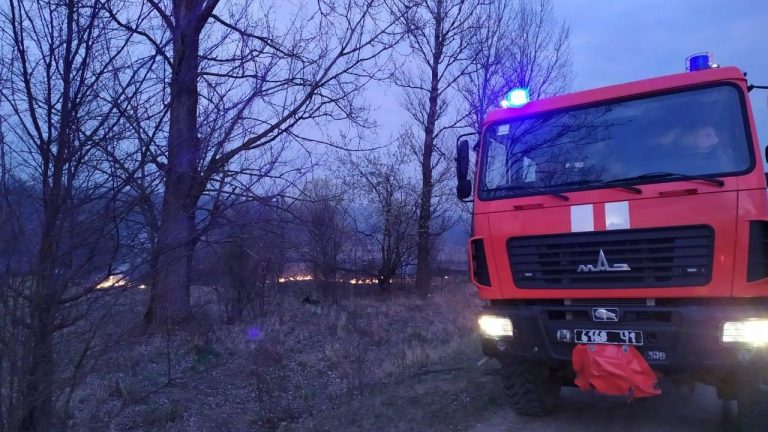 На Долинщині, внаслідок підпалу сухої трави, ледь не зайнялася АЗС