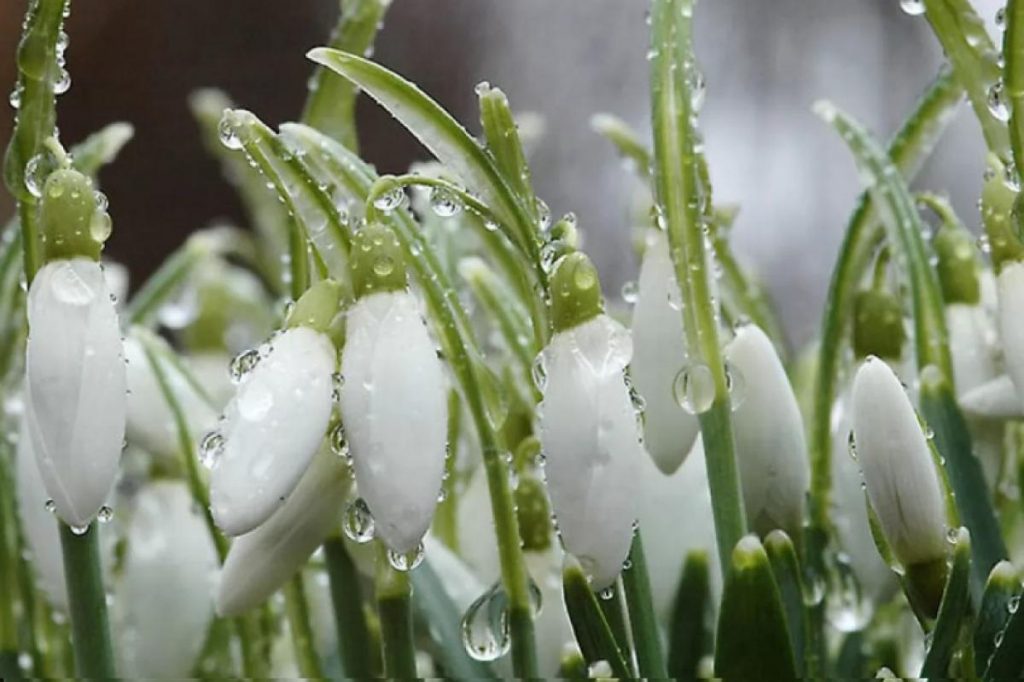 Якою буде погода на Прикарпатті у вихідні 14-15 березня