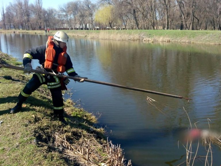 Сезон відкрито: на Прикарпатті зі ставка витягнули тіло потопельника