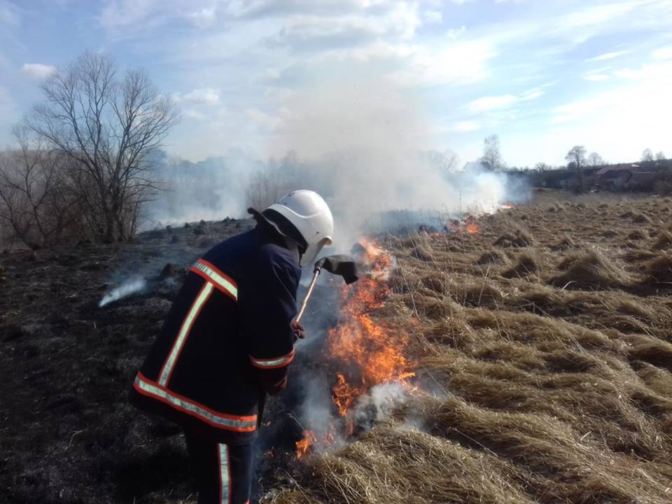 31 пожежа за добу: попри заборону прикарпатці продовжують масово спалювати суху траву