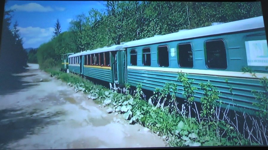 На Прикарпатті існує вузькоколійна залізниця довжиною близько 7 кілометрів: відео