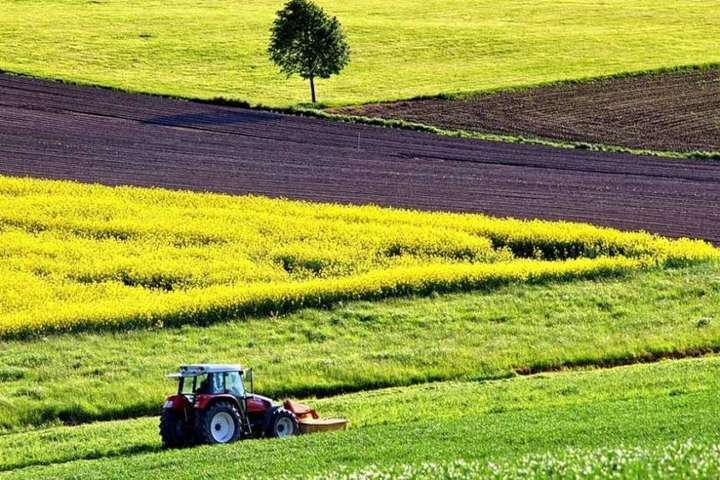 На Франківщині у комунальну власність повернули землі на понад 5 мільйонів гривень