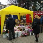 Франківську стометрівку заполонили продавці квітів: фотофакт