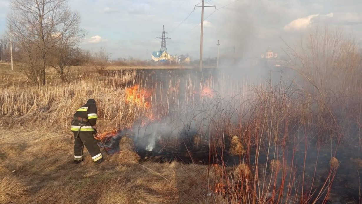 Більше трьох десятків підпалів за добу - попри всі заборони прикарпатці й надалі масово спалюють суху траву
