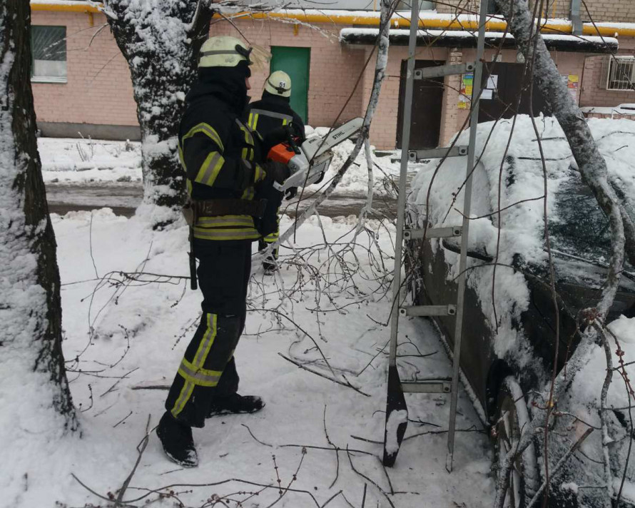 Прикарпатські рятувальники розрізали дерева, що впали внаслідок негоди