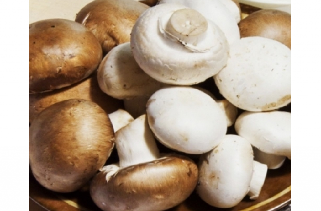 Королівські печериці на Центральному ринку: смачно та корисно