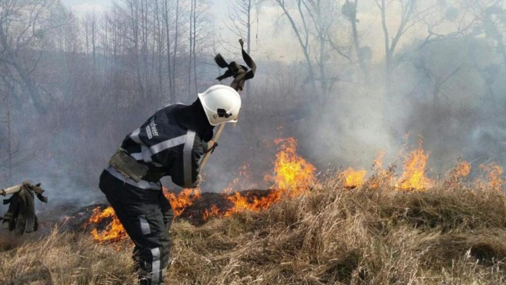 Упродовж минулої доби на Прикарпатті зафіксовано більше 20 підпалів сухої трави